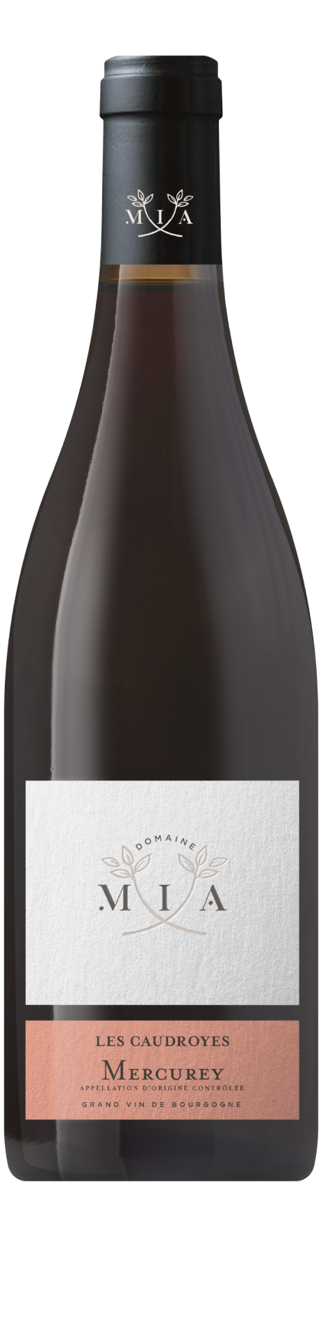 Domaine Mia, Les Caudroyes Mercurey, 2021