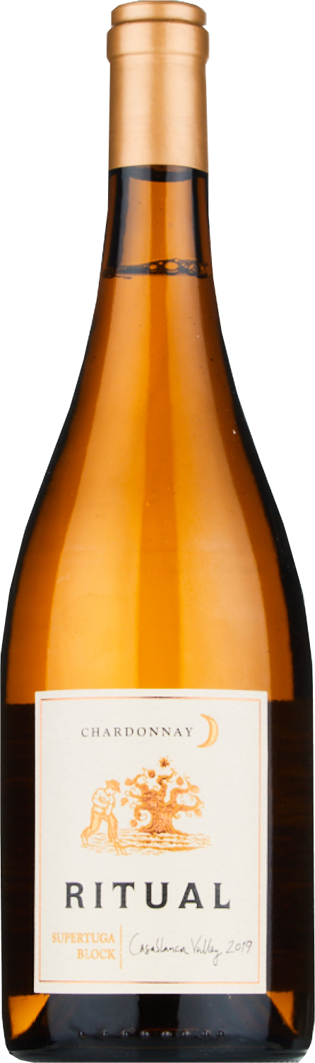 Ritual, Supertuga Block, 2019