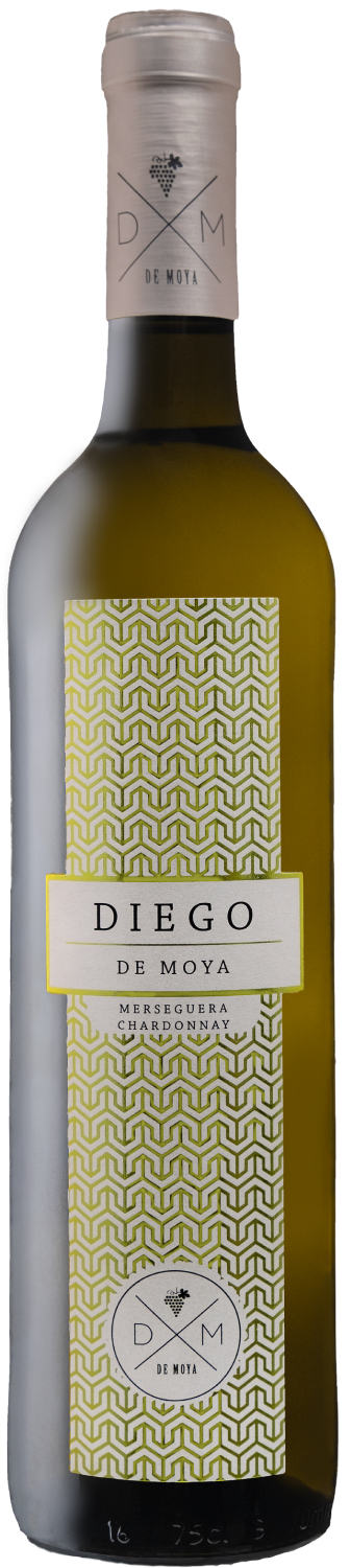 De Moya, Diego, 2023