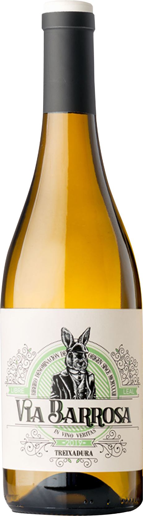 Vina Costeira, Via Barrosa Albariño, 2024