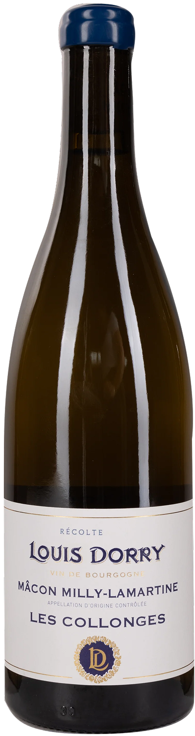 Louis Dorry, Macon Milly – Lamartine ' Les Collonges ', 2022