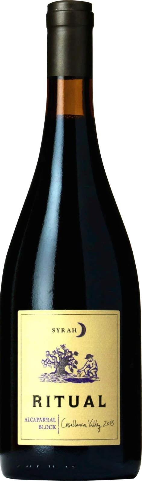 Ritual, Alcaparral, 2018