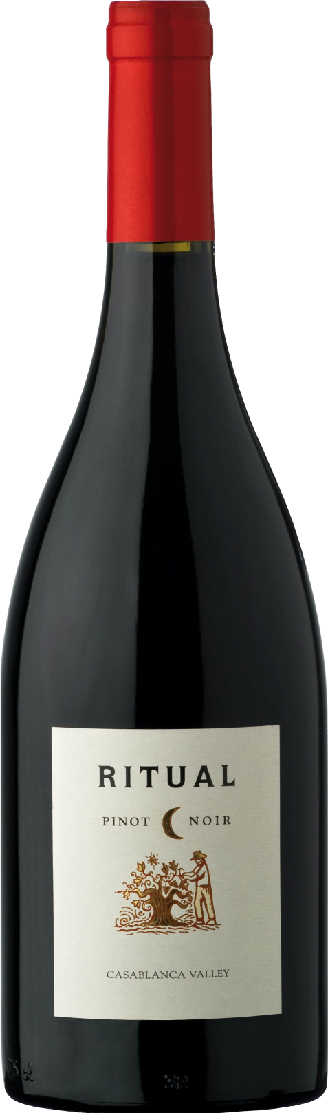 Ritual, Pinot Noir, 2019