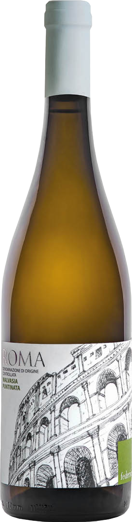 Antonio Federici, Roma Malvasia Puntinata, 2023