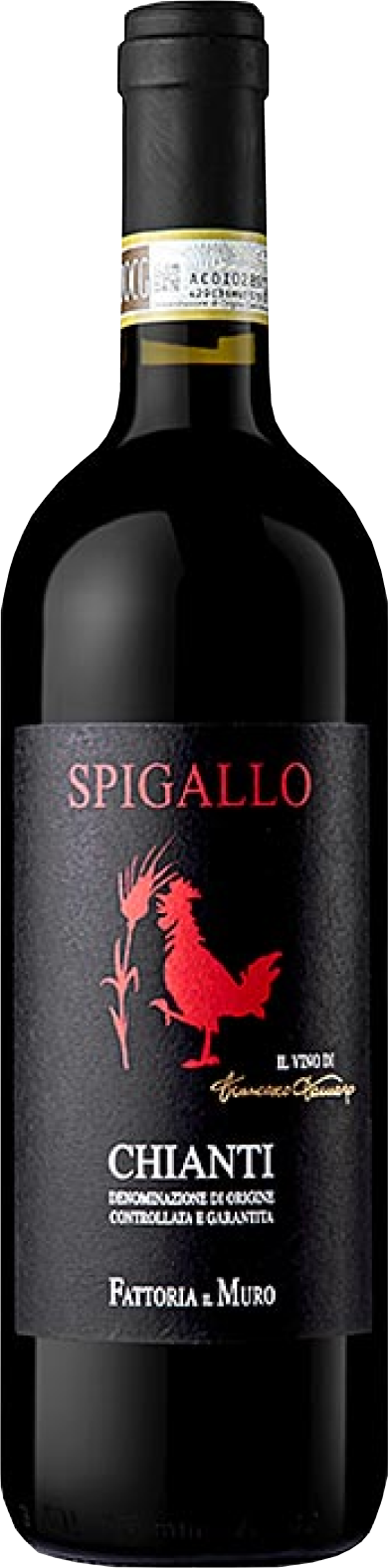 Fattoria II Muro, Spigallo Chianti, 2022