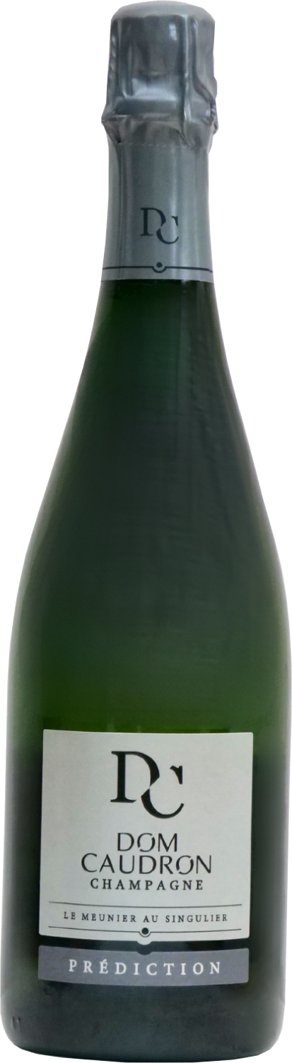 Dom Caudron, Prediction, NV