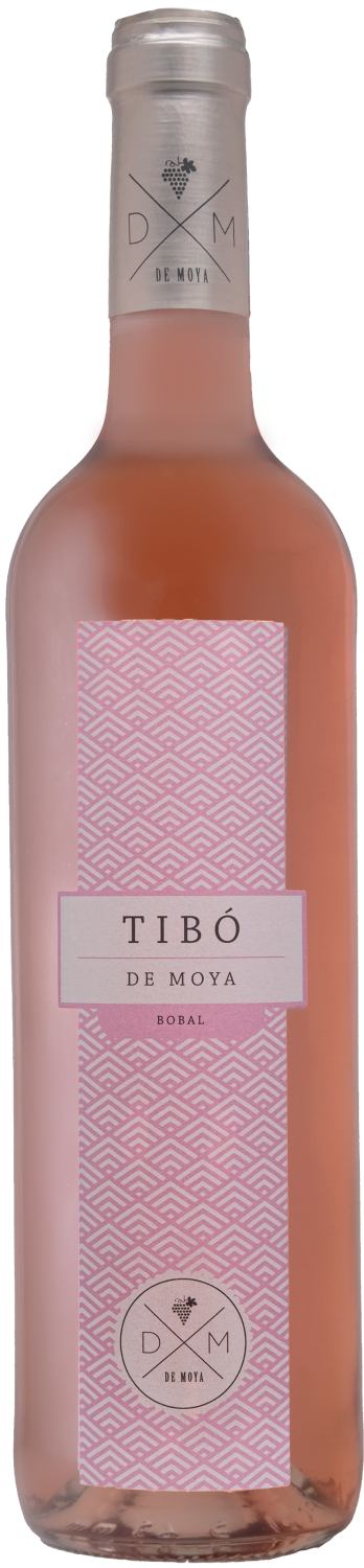 De Moya, Tibo Rosado, 2023