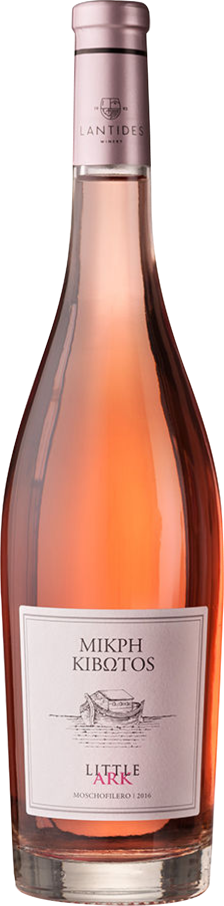 Lantides, Little Ark Rose, 2022/2024