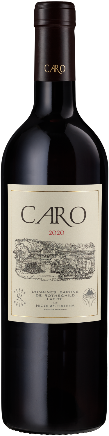 Caro Catena and Rothschild, Caro , 2020