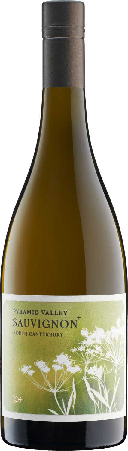 Pyramid Valley, Sauvignon Blanc, 2021
