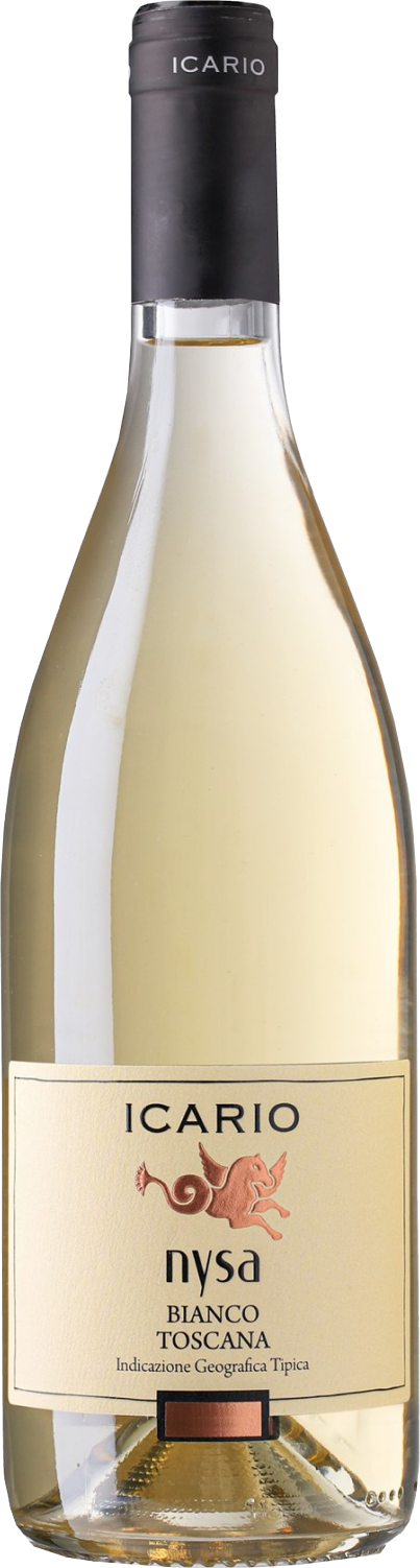Icario, Nysa Bianco, 2024