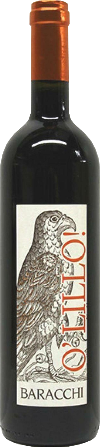 Baracchi, O'lillo, 2024